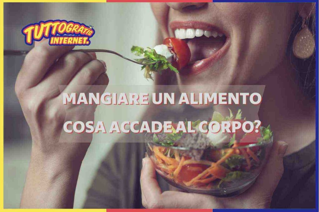 Dieta monoalimento, corpo