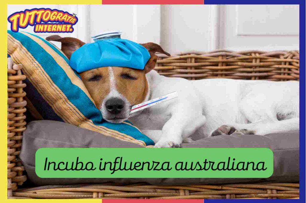 Incubo influenza australiana