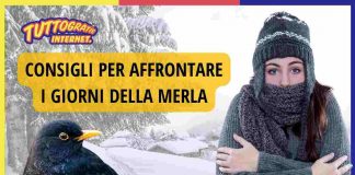GIORNI DELLA MERLA
