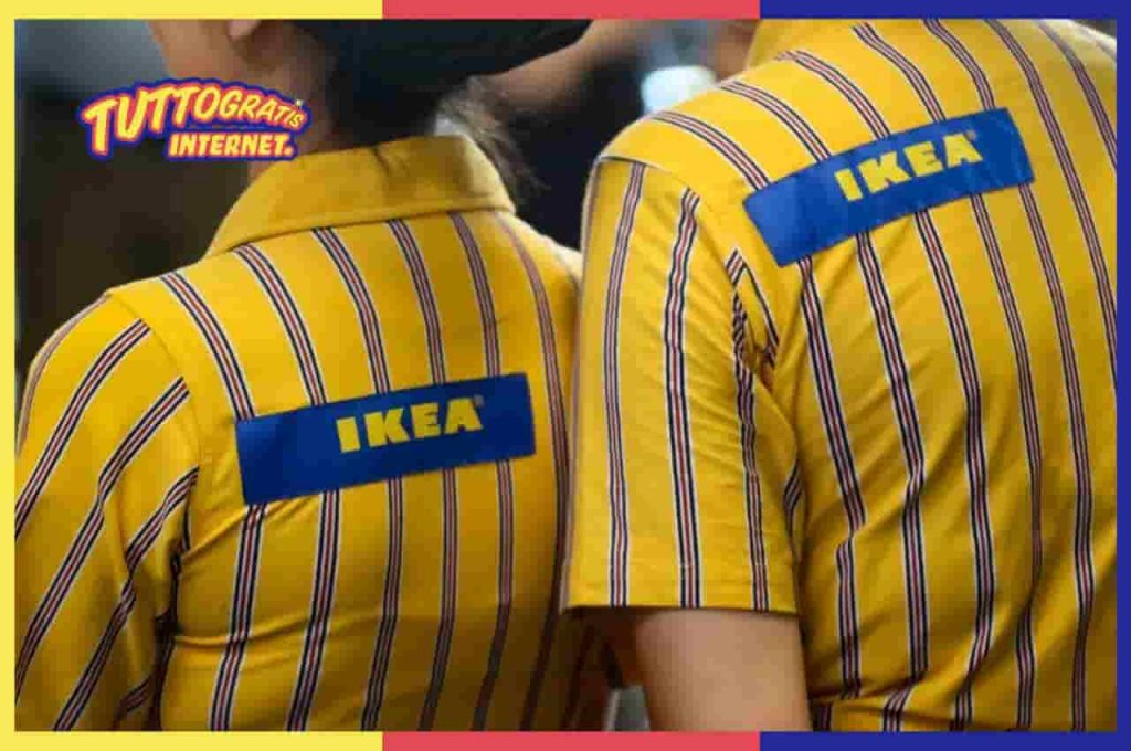 IKEA assume diplomati e specializzati