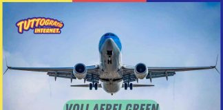 Voli aerei green, biglietto