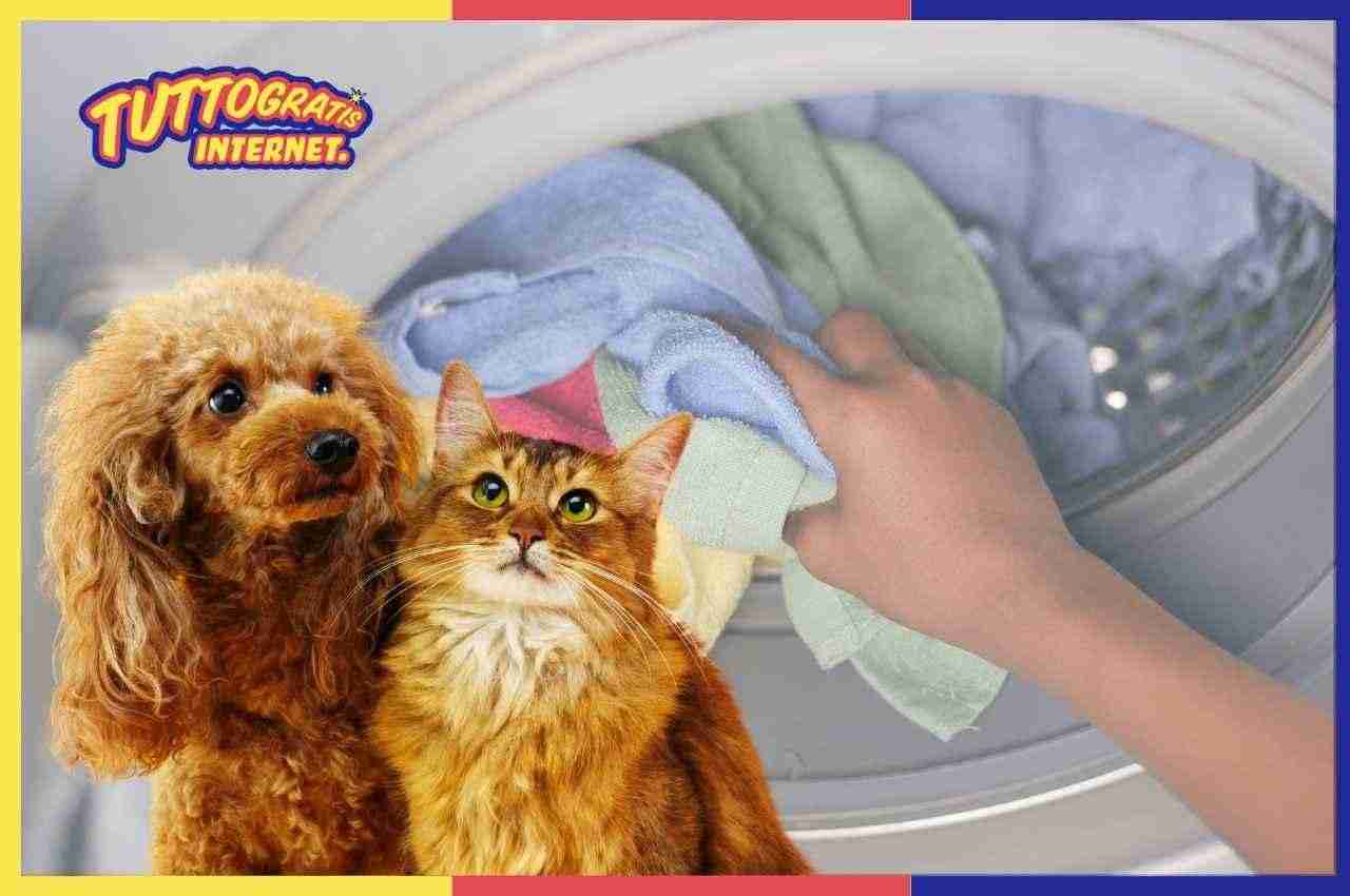 Hai cani o gatti? Basta peli in lavatrice: il trucco infallibile