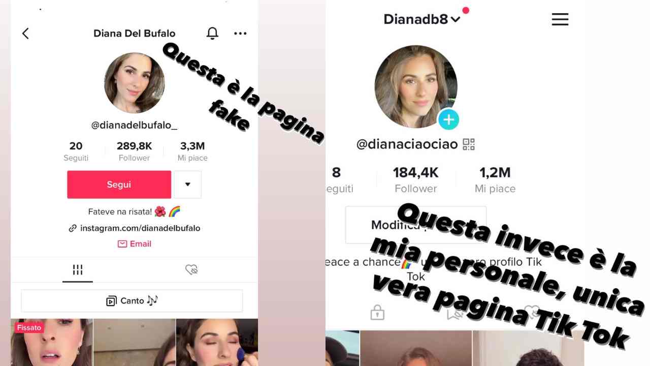 Diana Del Bufalo, pagine TikTok 