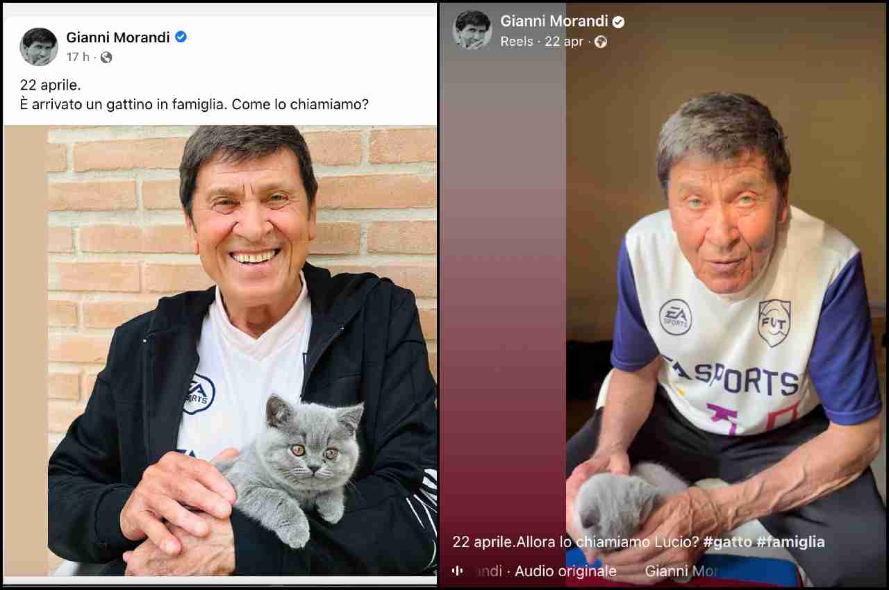 Post social di Gianni Morandi con il gatto
