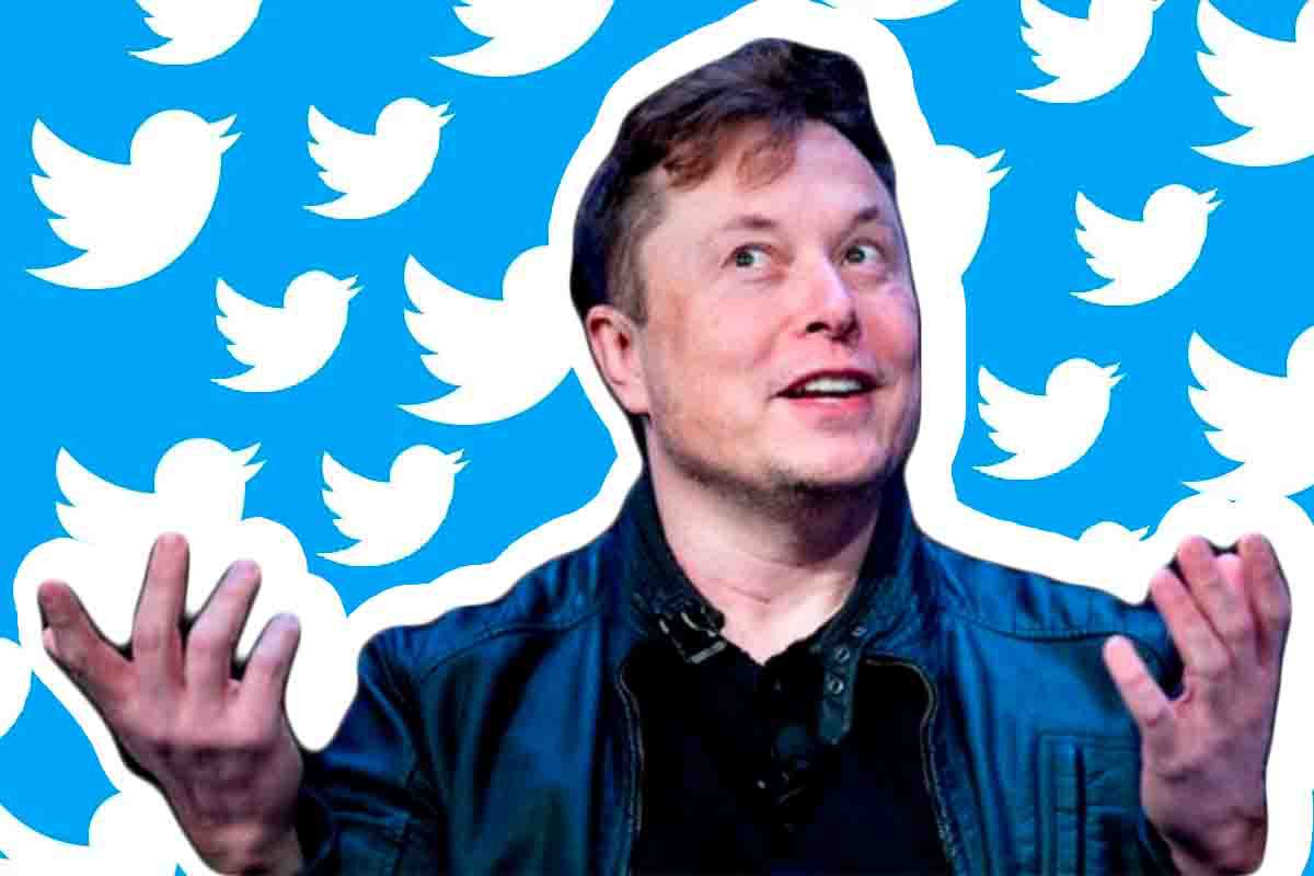 Elon Musk trasforma twitter in un albergo
