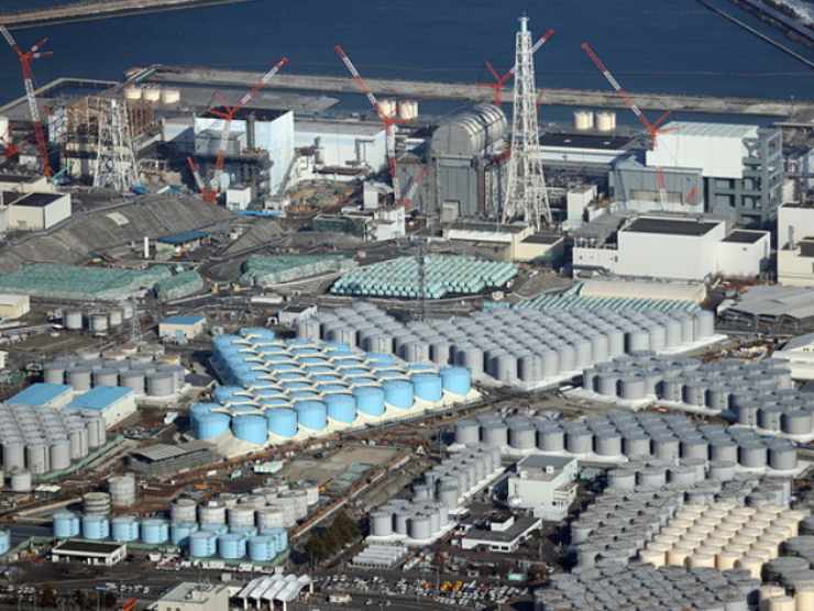 Fukushima, rischio pesce contaminato