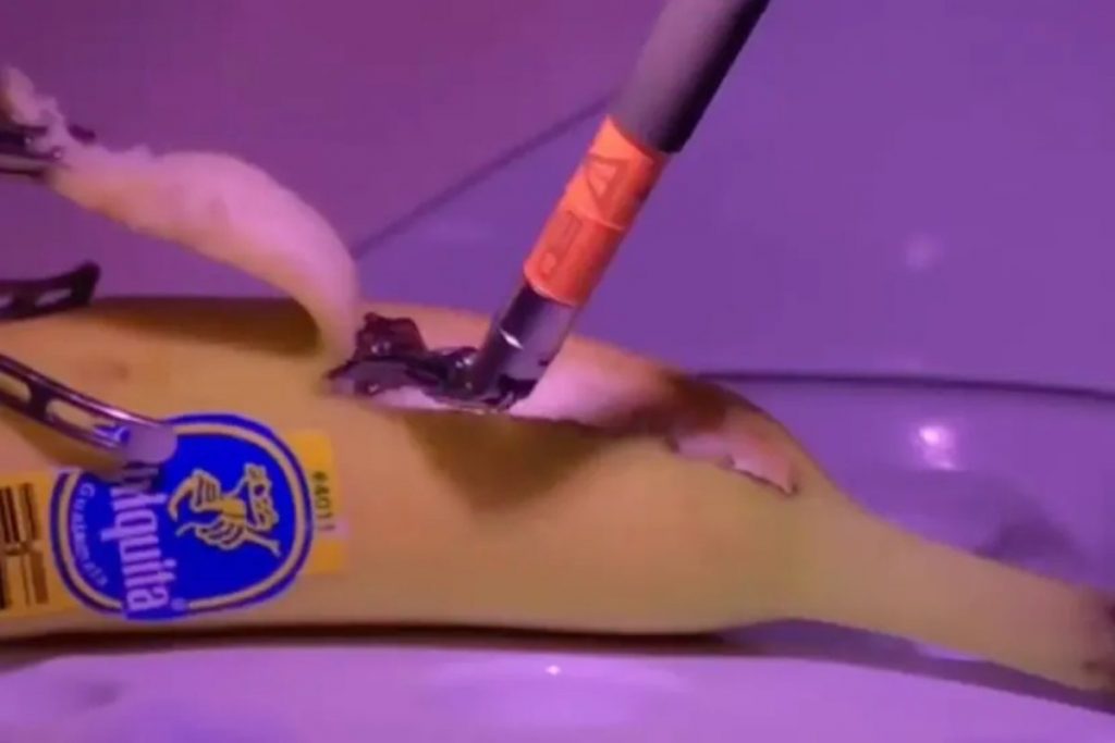 Virale il video di una banana operata